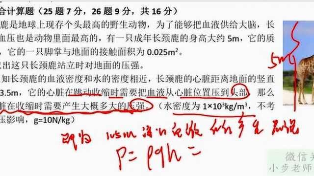 小步老师讲物理—八年级物理下册期中测试卷02—综合计算题解析