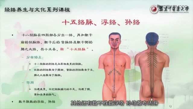 【经络养生与文化】经络养生的文化内涵2