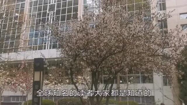 占地近500亩, 兰州最有文化的区域将重新建设,兰州新名片来了