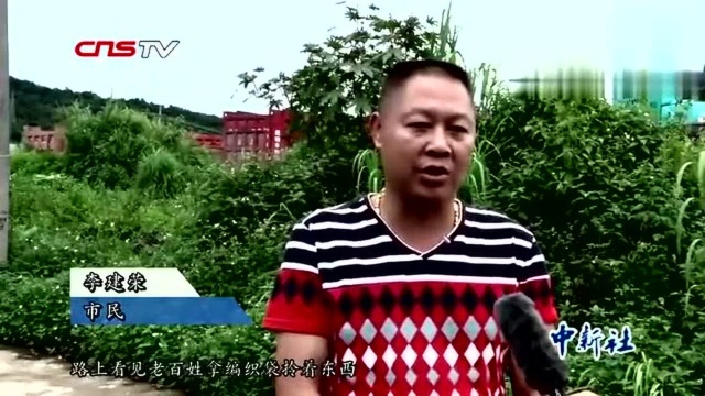 云南普洱一级保护动物北豚尾猴被救助秒变“吃货”