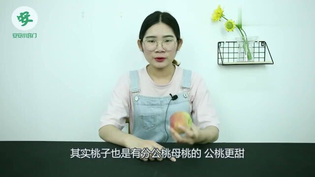 桃子也分“公母”,公桃子更甜,学会看这里,挑的个个是公桃子