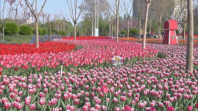 廊坊:打造京津走廊上的花园城市