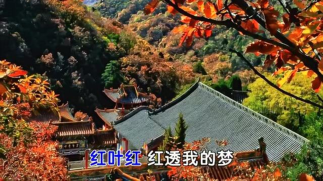 仙堂山红叶/曲李立峰