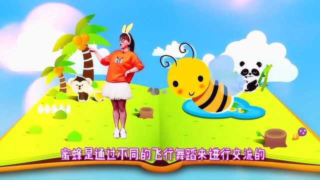 画神闲 第76集 勤劳的小蜜蜂