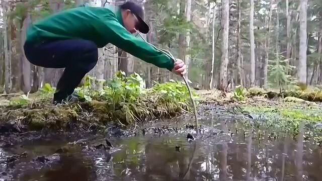 在北海道千万不要轻易踏进一条水沟,你一定想不到,它到底有多深!