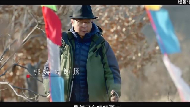 闪亮的名字:钟扬热爱西藏的藏波罗花,他也执着登山!