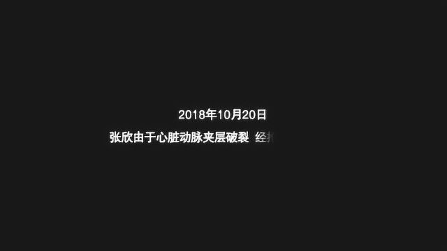 闪亮的名字:张欣将一生献给了刑侦事业,正如这期英雄演绎者