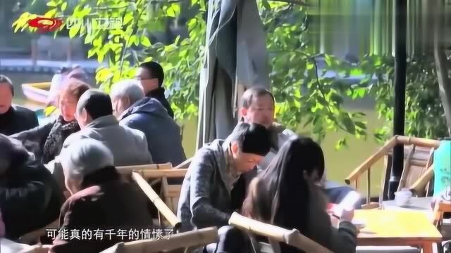 咱们穿越吧:饮茶节俭高雅,茶叶在魏晋时盛行,茶马互市因此而来