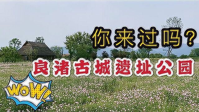 浙江有个公园门票60元,却只对杭州人免费,随着我的镜头来看值不值这价?