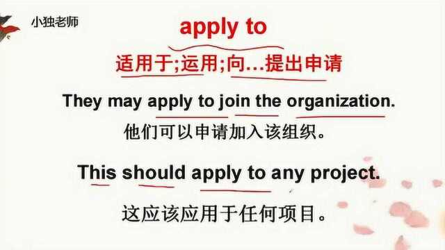 apply to啥意思?今天的英语学习告诉你!坚持每天学点英语