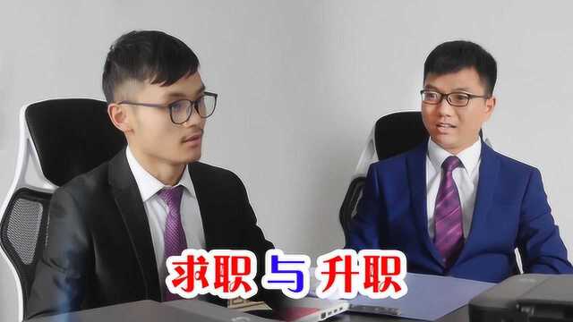 哈锅锅来了:指挥老板倒车会做人