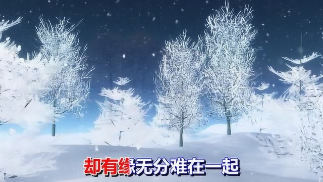 一首网络情歌《飘雪的季节更想你》好听极了