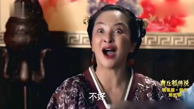 青丘狐传说:王子服为了逼迫母亲同意婚事,竟以这样的条件相逼