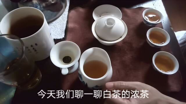 白茶的浓茶指的是什么