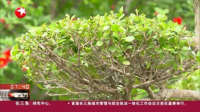 上海:首个信用村落地崇明 农村信用体系建设取得新进展