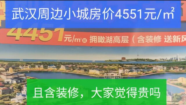 湖北武汉周边小城房价4551元每平米起,且含装修,大家觉得怎么样