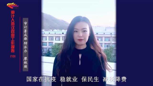 审计人热议政府工作报告1312审计署成都办