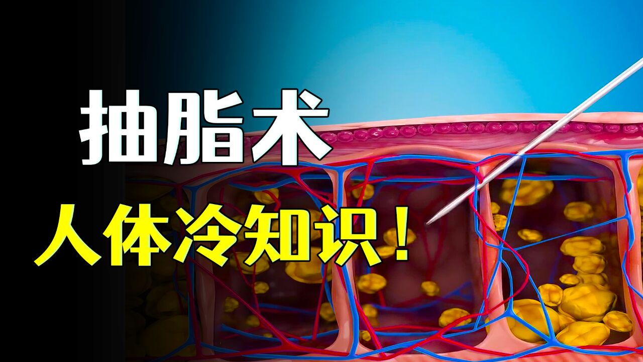 从鼻毛到牙齿:你不知道的人体冷知识!