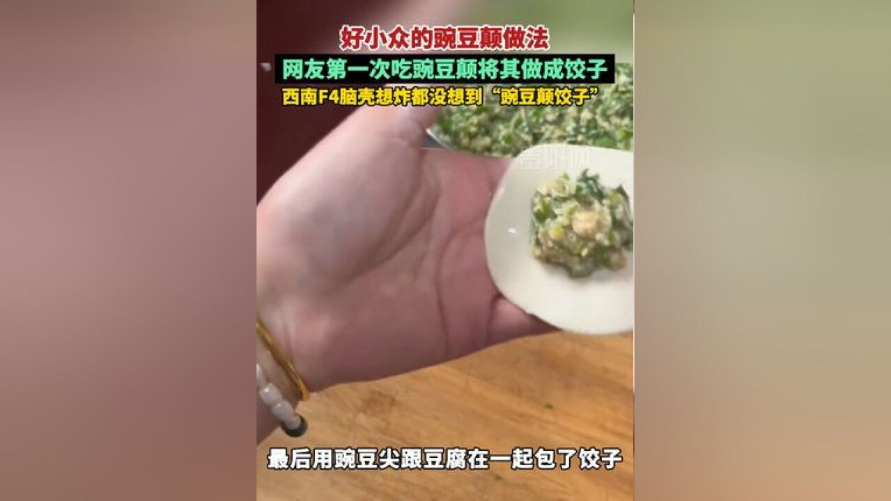 好小众的豌豆颠做法 网友第一次吃豌豆颠将其做成饺子