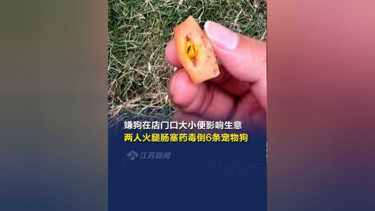 两商户火腿肠塞药毒倒6狗致4死 :在门口大小便影响生意