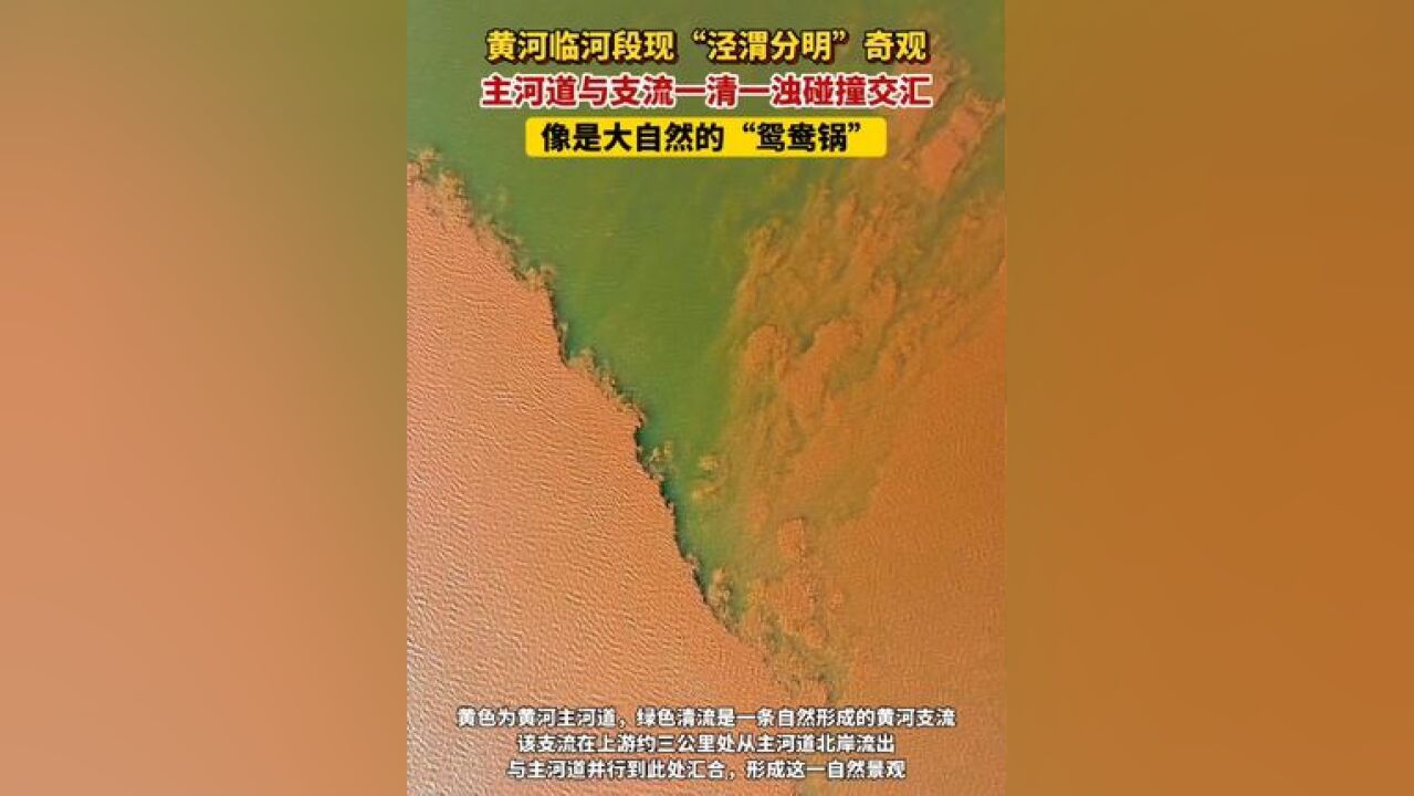 黄河临河段现“泾渭分明”奇观,主河道与支流一清一浊碰撞交汇,像是大自然的“鸳鸯锅”