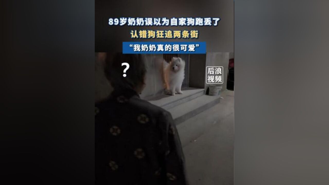 89岁奶奶街上认错狗狂追两条街 ,拍摄者:回到家发现狗没丢,我奶奶真的很可爱