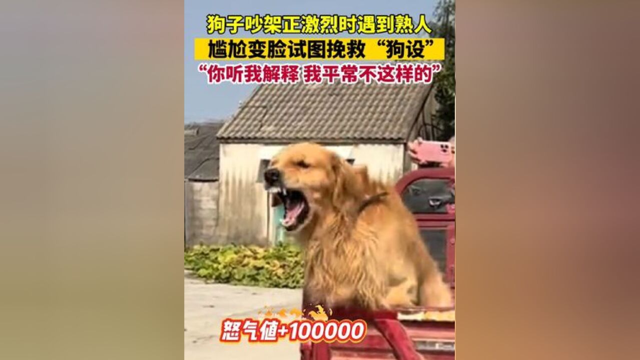 狗子:你听我解释,我平常不这样!