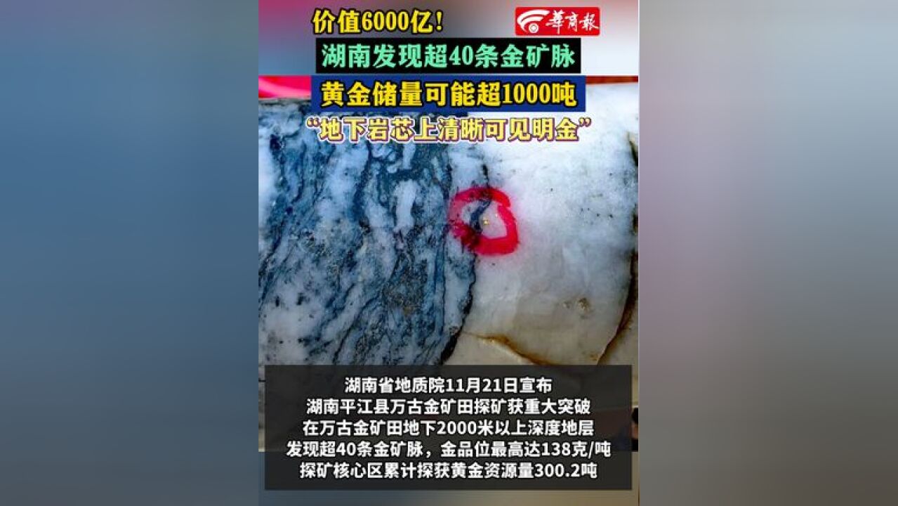 价值6000亿!湖南发现超40条金矿脉黄金储量可能超1000吨“地下岩芯上清晰可见明金”