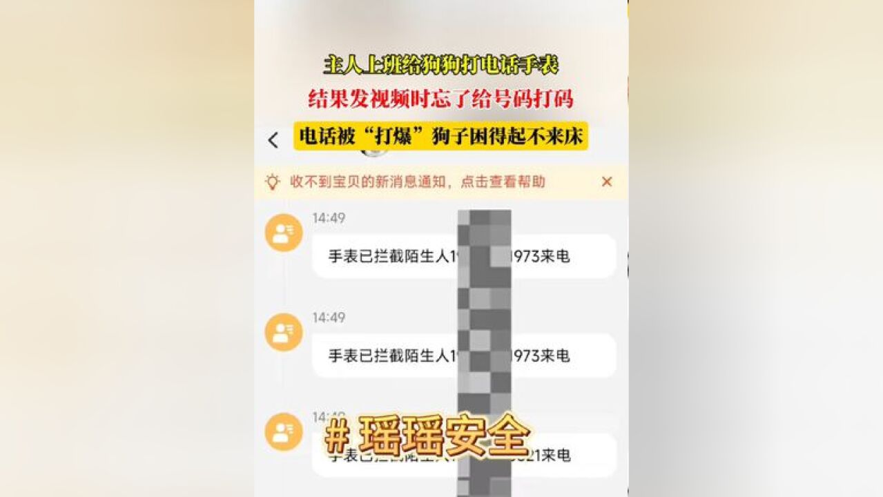 主人上班给狗狗打电话手表,结果发视频时忘了给号码打码,电话被“打爆”狗子困得起不来床