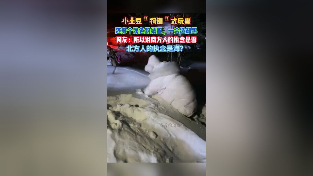 南方小土豆狗刨式玩雪