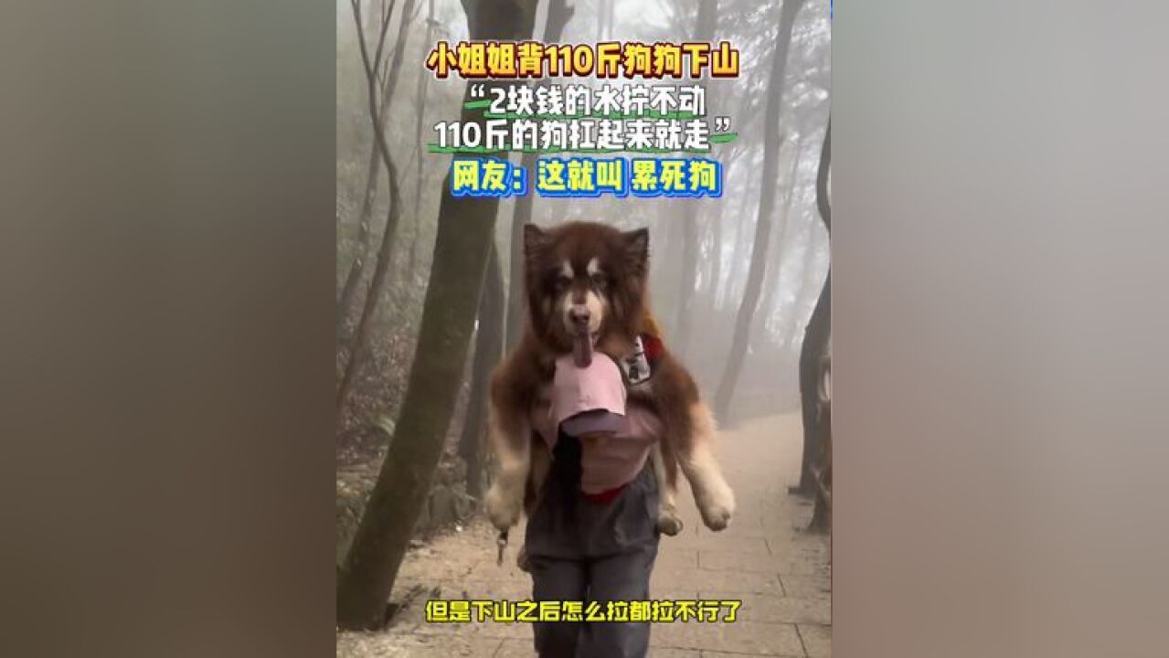 小姐姐背110斤狗狗下山!