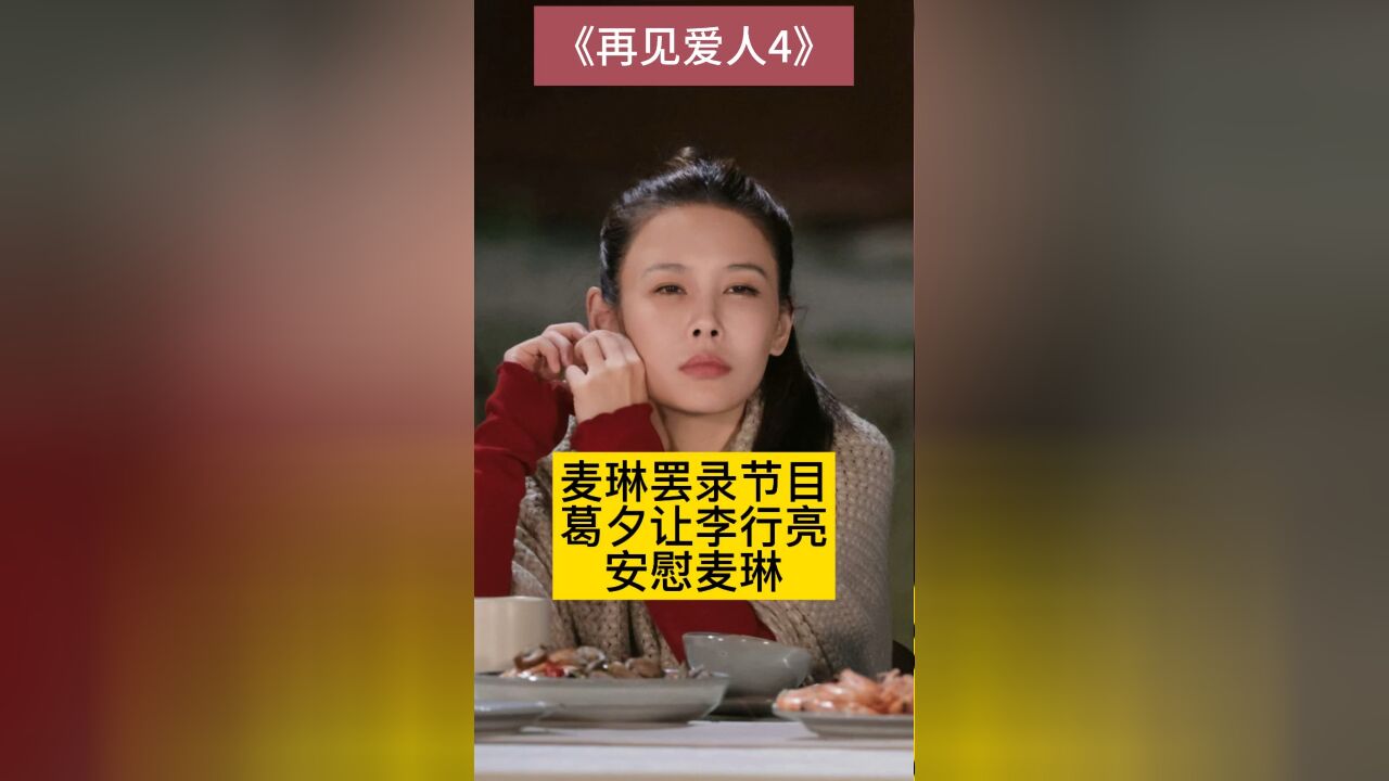 麦琳罢录《再见爱人4》,葛夕让李行亮安慰麦琳