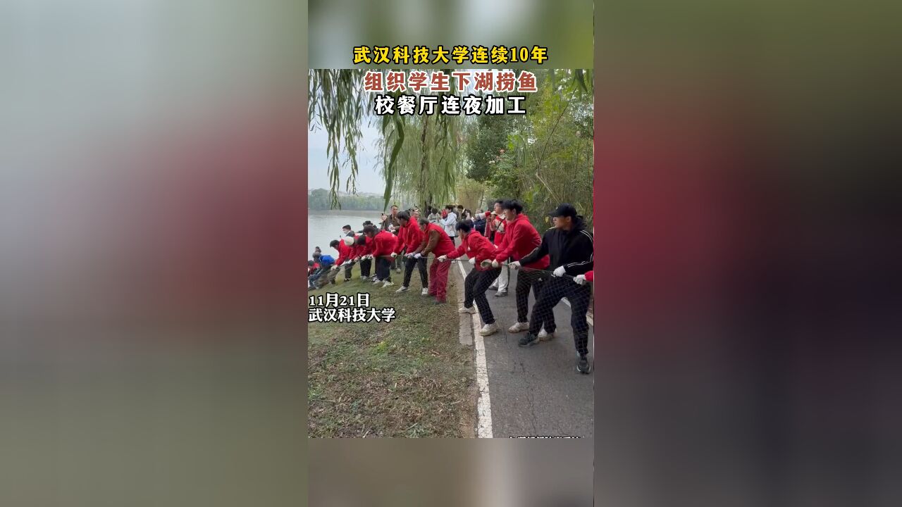 武汉科技大学连续10年,组织学生下湖捞鱼,校餐厅连夜加工