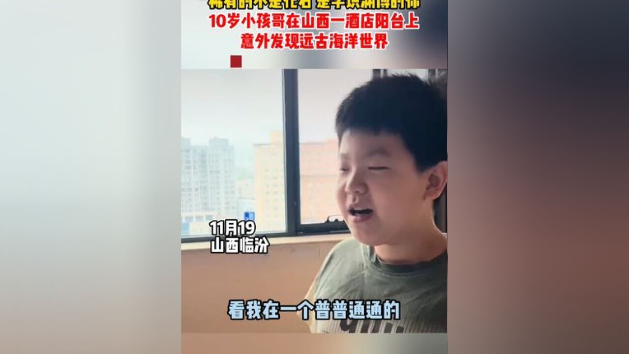 “稀有的不是化石,是学识渊博的你”,10岁小孩哥在山西一酒店阳台上意外发现远古海洋世界