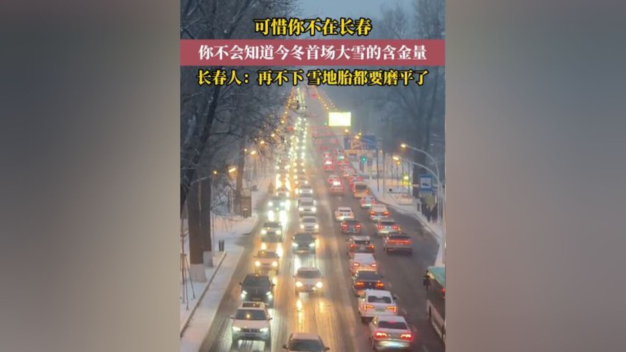 长春今冬首场大雪如约而至