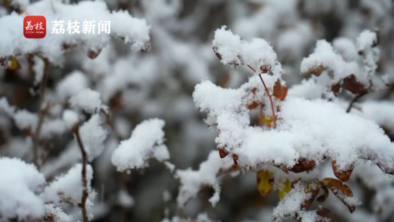 银装素裹!内蒙古阿拉善盟迎来今年冬季的第一场雪幻如仙境