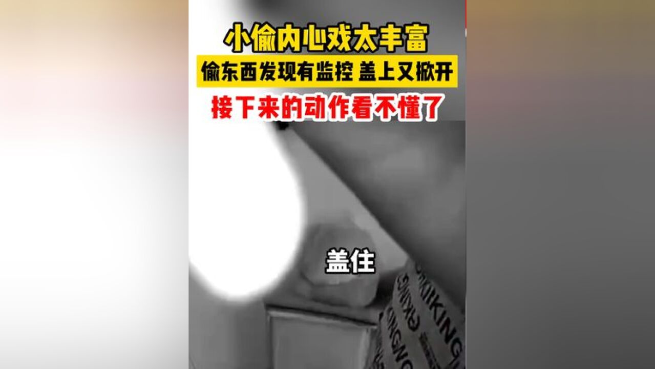 小偷进家发现有摄像头,然后一系列迷惑操作开始了……