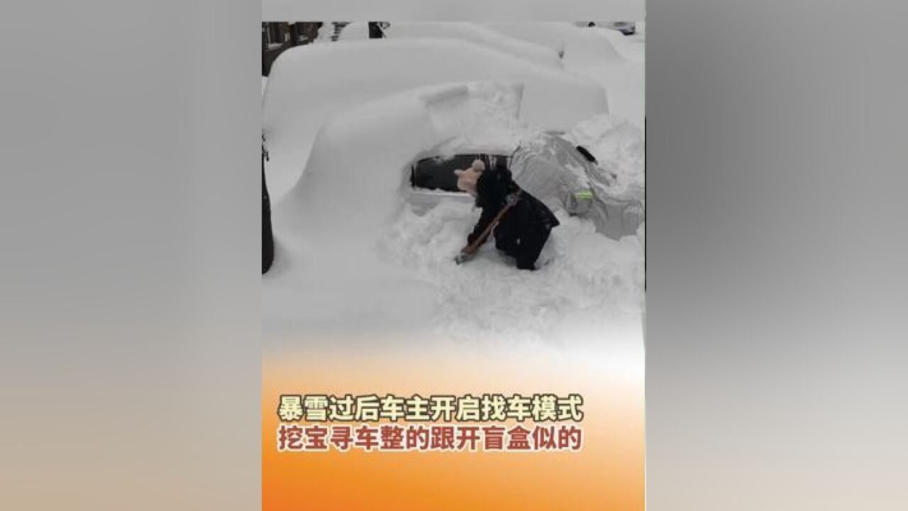 11月27日,黑龙江鹤岗,暴雪过后车主开启找车模式,挖宝寻车整得跟开盲盒似的,网友:信我 先挖车牌子!