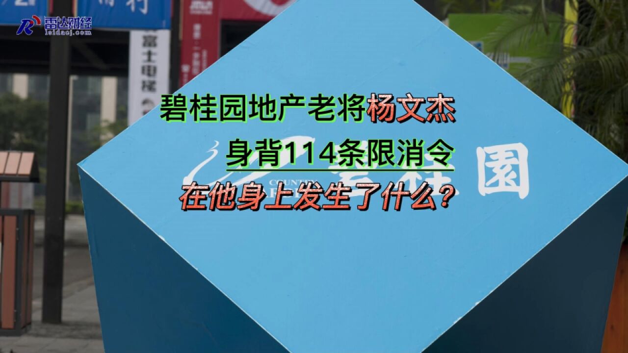 碧桂园地产老将杨文杰身背114条限消令 在他身上发生了什么?