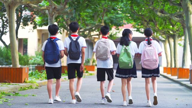 教育部等五部门:禁止中小学校举办和参与举办培训机构