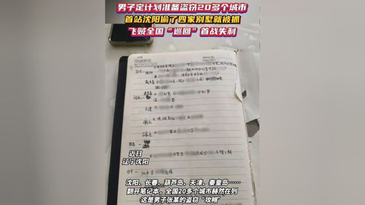 男子定计划准备盗窃20多个城市 首站沈阳偷了四家别墅就被抓