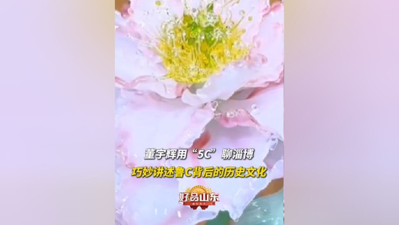 行走的“小课堂”!,11月29日,山东淄博,用“5C”聊淄博,巧妙讲述鲁C背后的历史文化.#在山东花式过冬 #与辉同行