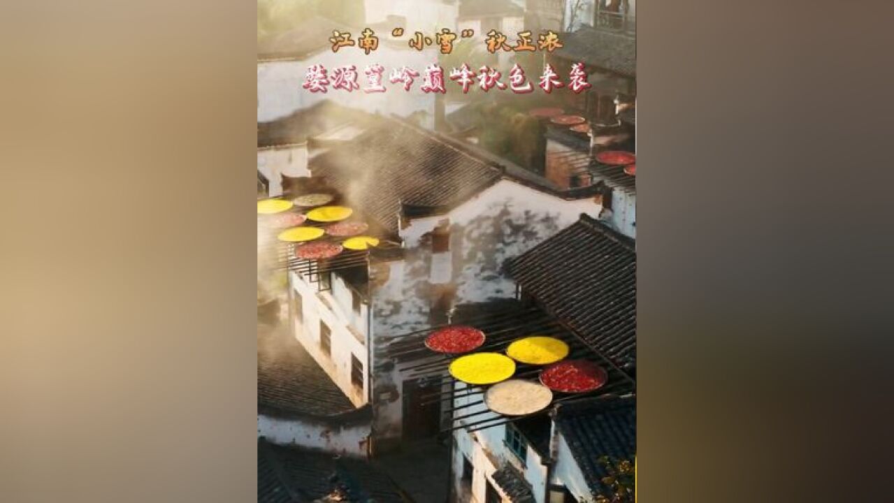 江南“小雪”秋正浓,婺源篁岭巅峰秋色来袭!