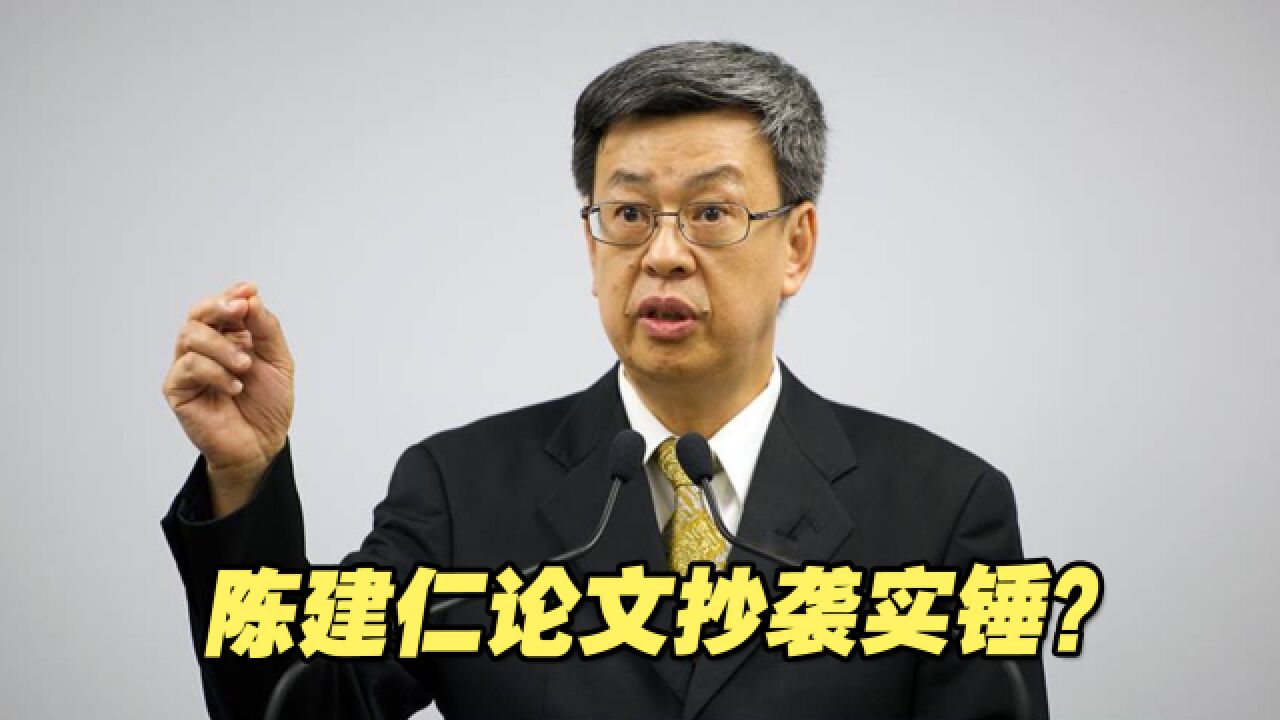 陈建仁论文抄袭实锤?争议缠身的他被蓝营穷追猛打