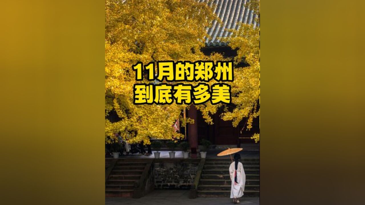 11月的郑州到底有多美?12月会继续美! 你拍了美美的照片了吗?来吧,展示!