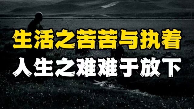 有一种智慧叫放过自己,有一种解脱叫心无杂念,做到的人都很幸福