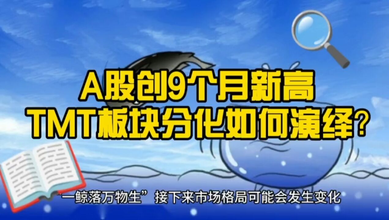 A股创9个月新高 TMT板块大分化 接下来格局如何演绎?