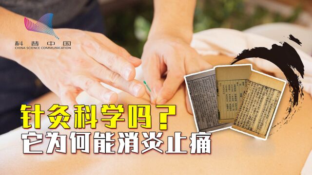 针灸为何能消炎止痛?国际研究揭示:穴位是真实存在的!