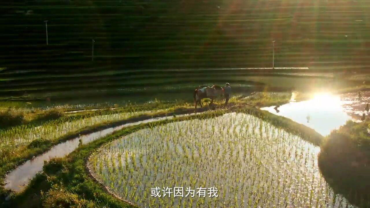 今天,第33个全国“土地日”