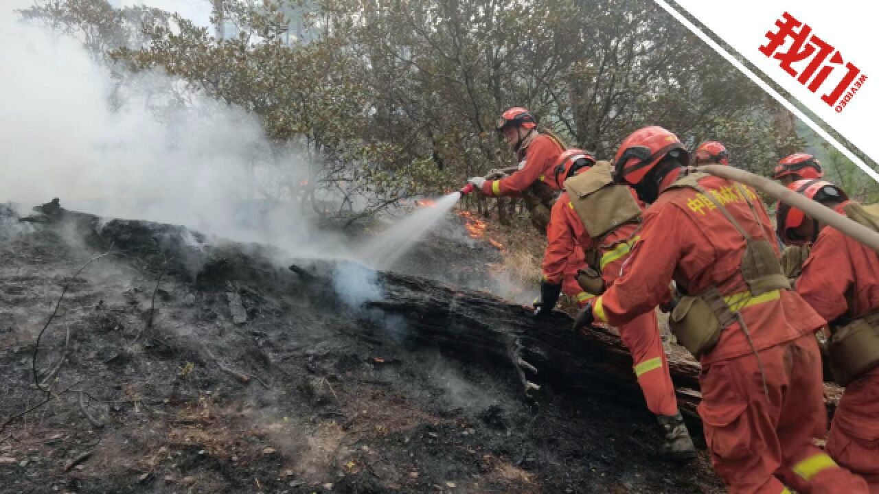 四川甘孜雅江县森林火灾全线扑灭 400余名森林消防员投入扑救